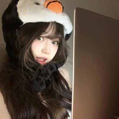 狐狸猎手队 封面